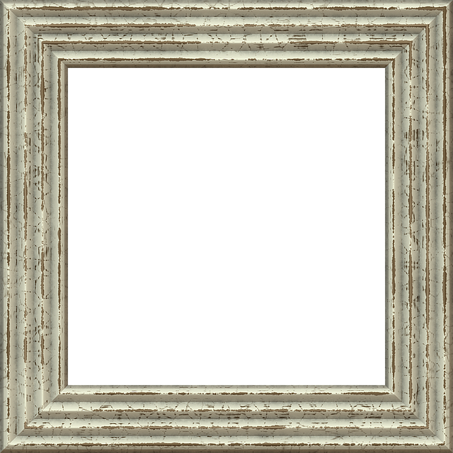 Select Frame Repair
