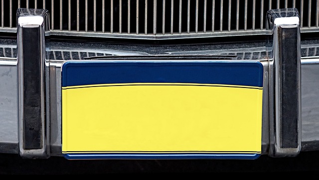 Select License Plate Privacy