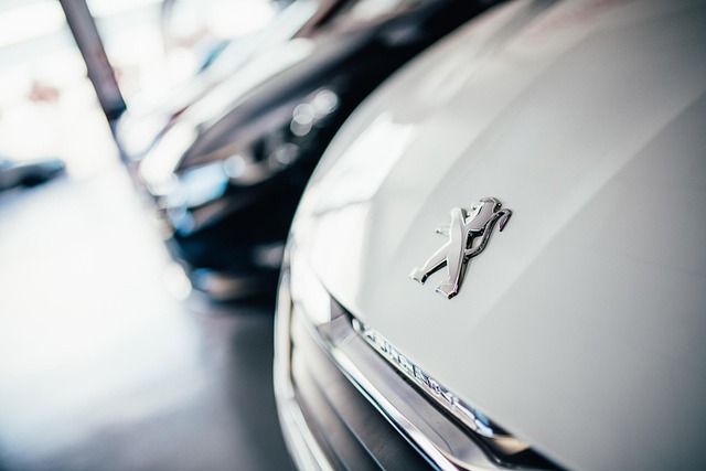 Select Luxury Cars