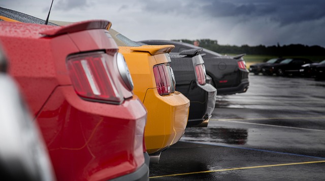 Select Muscle Cars