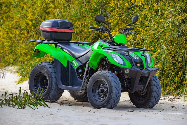 select-off-road-vehicles-640x480-86441795.jpeg