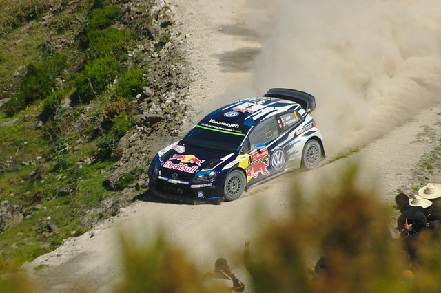 Select Rally Racing