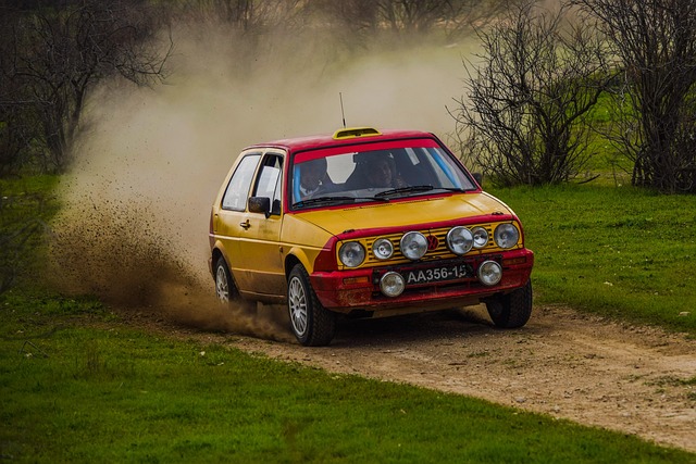 Select Rally Racing