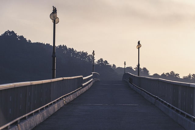 Master Road Safety: Essential Tips for Every Driver