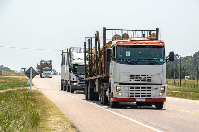 trucks