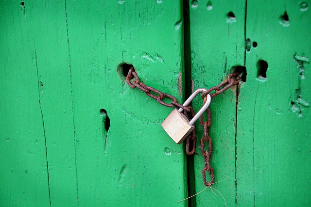 Anti-Theft Devices