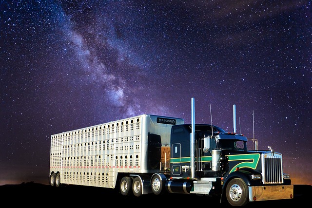 heavy duty trucks