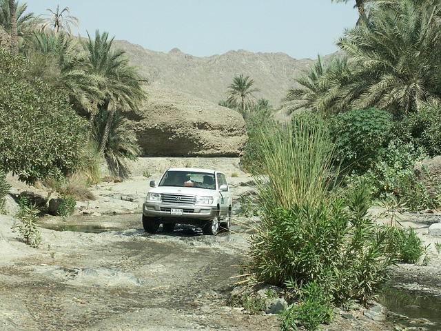Select All-Terrain Vehicles