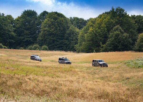 select-all-terrain-vehicles-640x480-86922327.jpeg