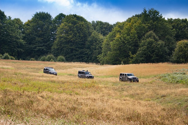 Renting All-Terrain Vehicles: Adventure Awaits