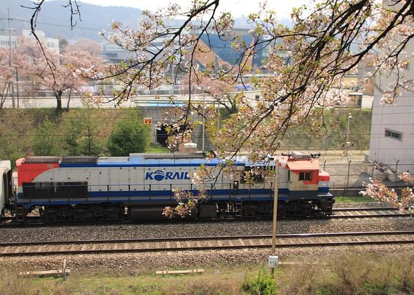 select-diesel-vehicles-640x480-99816272.jpeg