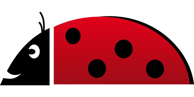 Select DOT Compliance