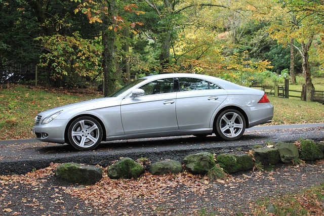 Select German Cars