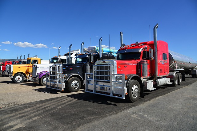 Select Light Trucks