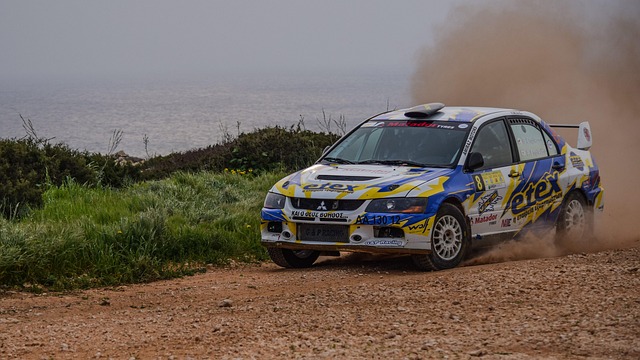 Select Rally Racing