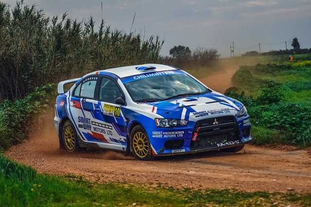 Select Rally Racing
