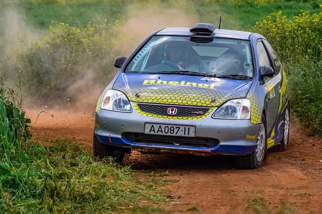 Select Rally Racing