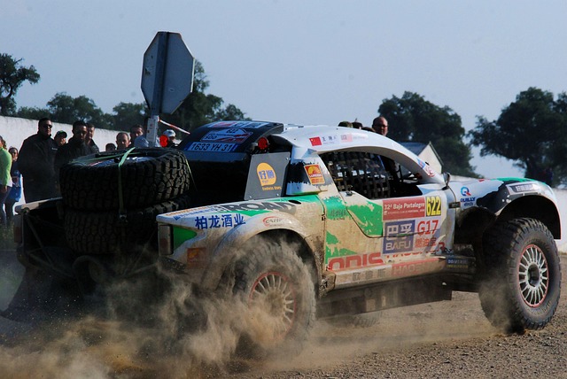 Select Rally Racing