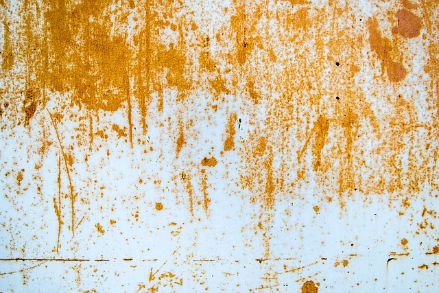 Select Rust Repair