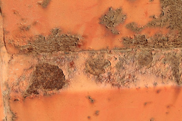 Select Rust Repair