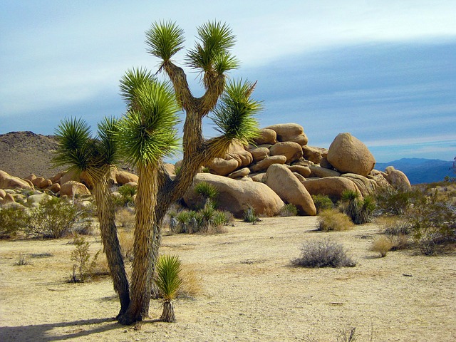 Select Travel to California