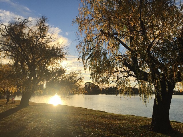 Select vin inspector riverside ca