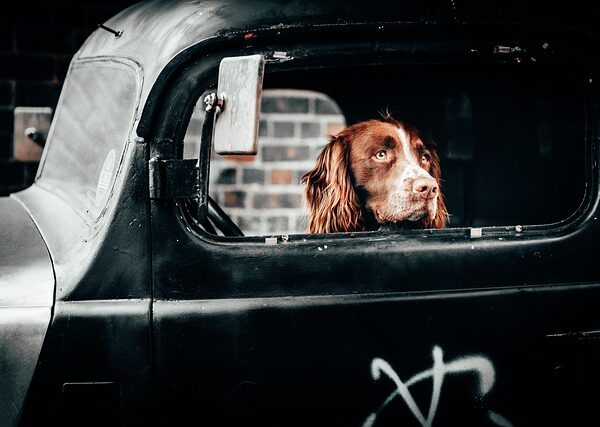 trucks-640x480-61662280.jpeg